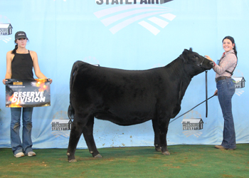 Reserve Intermediate Champion Heifer