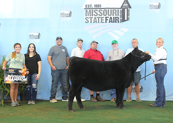 Late Senior Heifer Calf Champion