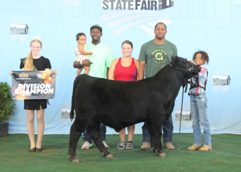 Junior Bull Calf Champion