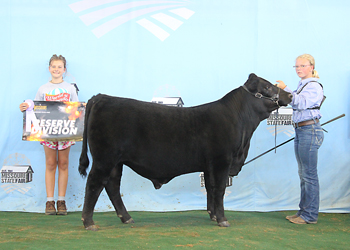 Reserve Junior Bull Calf Champion