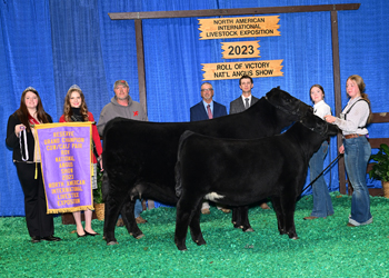 Reserve Grand Champion Cow-calf Pair