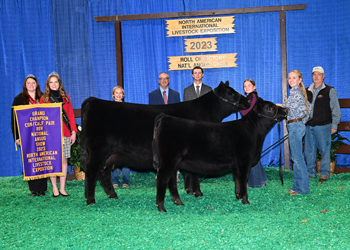 Grand Champion Cow-calf Pair