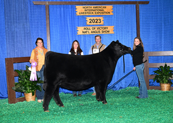 Reserve Junior Champion Heifer