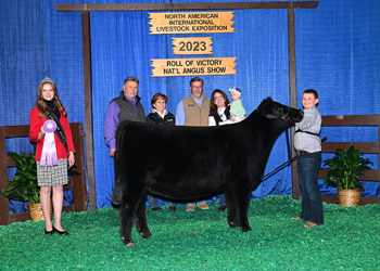 Reserve Senior Heifer Calf Champion - Div 2