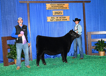 Reserve Junior Heifer Calf Champion - Div 3