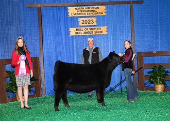 Reserve Junior Heifer Calf Champion