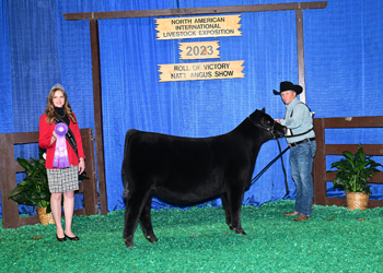 Junior Heifer Calf Champion - Div 2