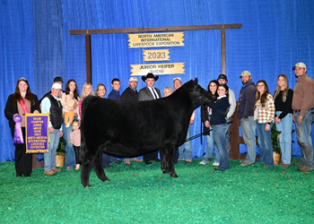 Grand Champion Owned Female