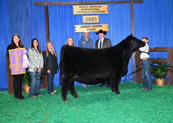 Reserve Grand Champion Owned Female