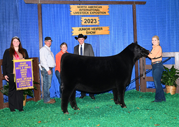 Grand Champion Bred-and-owned Female