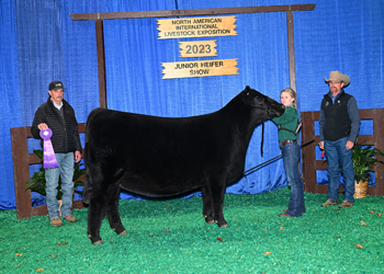 Owned Junior Champion Heifer