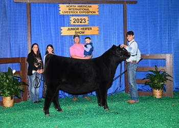 Bred-and-Owned Res Senior Hfr Calf - Div 2