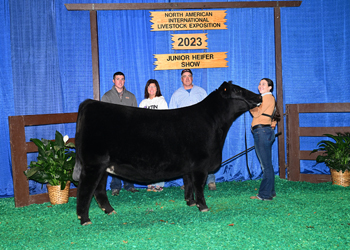 Bred-and-owned Reserve Junior Champion Heifer