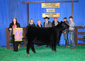 Reserve Grand Champion Bred-and-owned Female