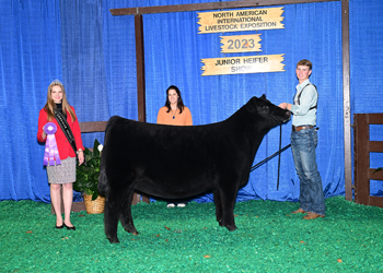 Bred-and-owned Intermediate Champion Heifer