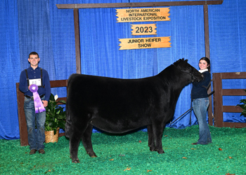 Owned Intermediate Champion Heifer