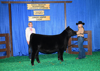 Bred-and-Owned Res Junior Hfr Calf - Div 2