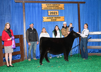 Owned Junior Heifer Calf Champion