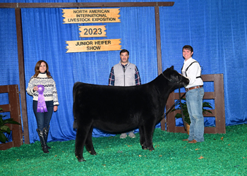 Bred-and-Owned Junior Hfr Calf - Div 3