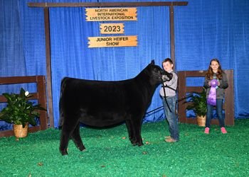 Owned Junior Heifer Calf Champion - Div 3