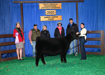 Owned Reserve Junior Heifer Calf Champion