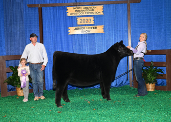 Owned Junior Heifer Calf Champion - Div 3