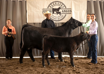 Grand Champion Cow-calf Pair