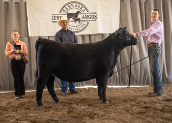 Grand Champion Owned Female