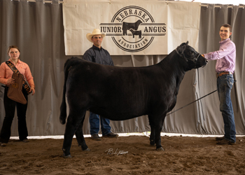 Reserve Grand Champion Bred-and-owned Female