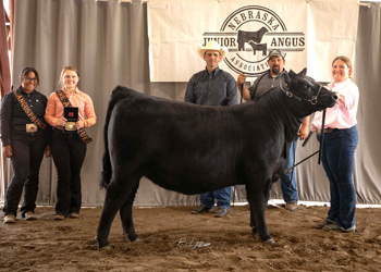 Grand Champion Bred-and-owned Female