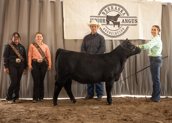 Reserve Grand Champion Owned Female