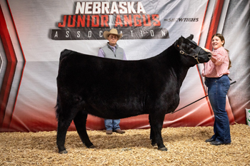 Reserve Grand Champion Bred-and-owned Female