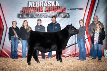 Grand Champion Steer