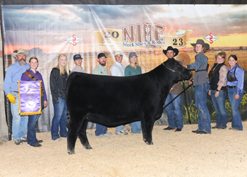 Grand Champion Female