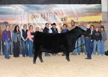 Grand Champion Owned Female