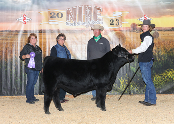 Grand Champion Bred-and-owned Bull