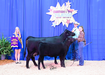 Bred-and-owned Champion Mature Cow-calf Pair