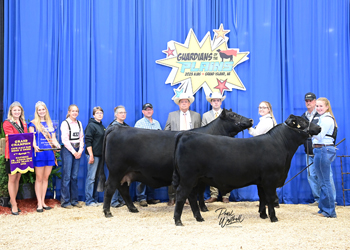 Grand Champion Bred-and-owned Cow-calf Pair