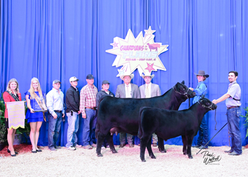 Reserve Grand Champion Bred-and-owned Cow-calf Pair