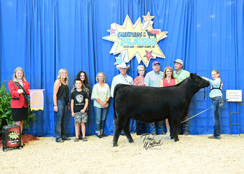 Bred-and-owned Reserve Late Junior Champion Heifer