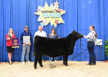 Owned Junior Champion Heifer--division 1