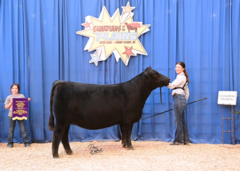 Owned Junior Champion Heifer--division 5