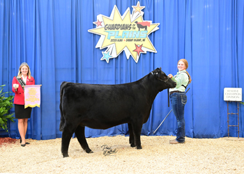 Owned Reserve Junior Champion Heifer--division 2