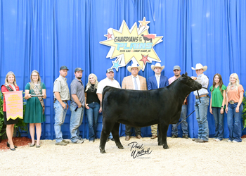 Third Overall Bred-and-owned Champion Female