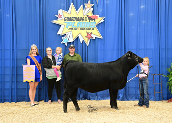 Reserve PGS Bred-and-Owned Female Div 2