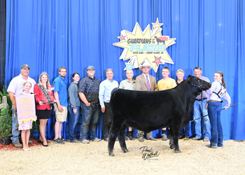 Reserve Grand Champion Bred-and-owned Steer