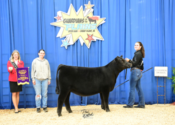 Owned Heifer Calf Champion Division 2