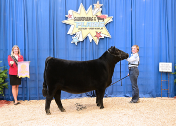 Owned Reserve Junior Champion Heifer--division 4