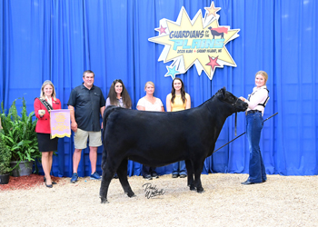 Owned Reserve Junior Champion Heifer--division 1