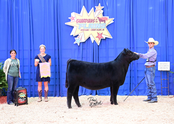 Bred-and-owned Reserve Early Senior Heifer Calf Champion